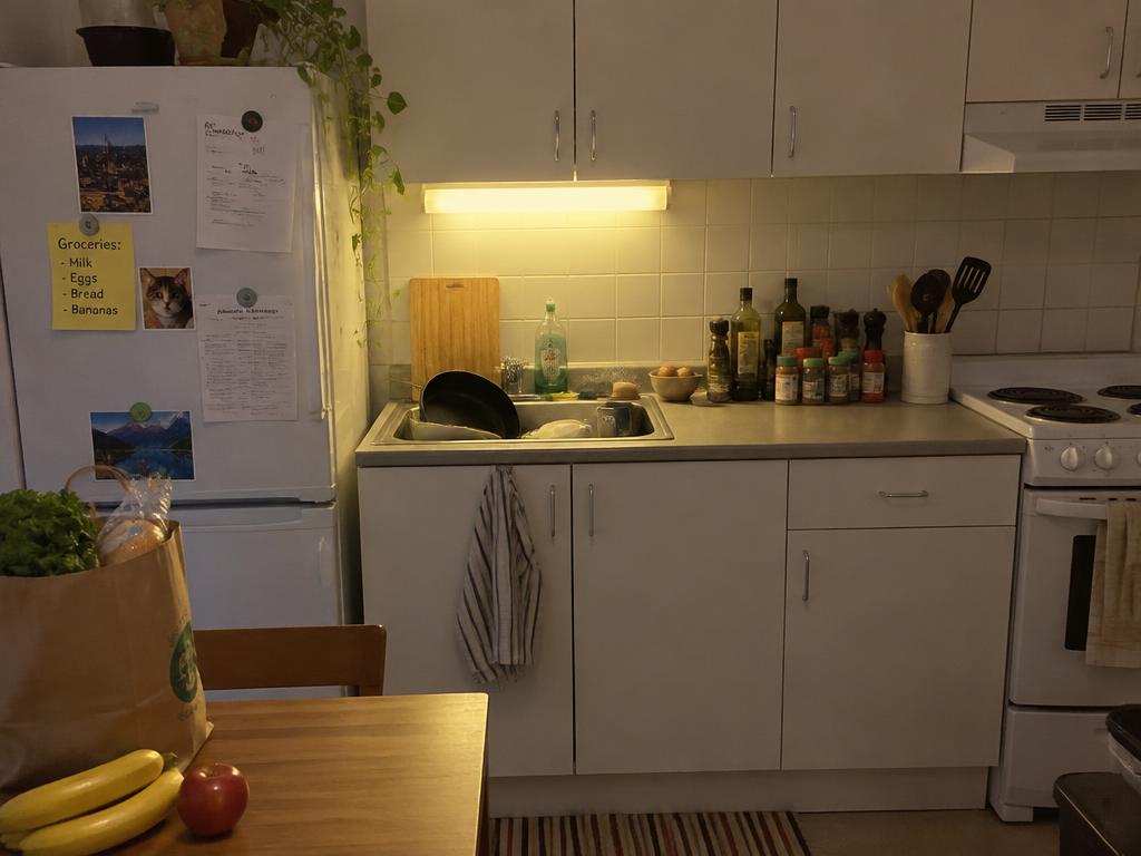 Studio Căprioara — Înainte